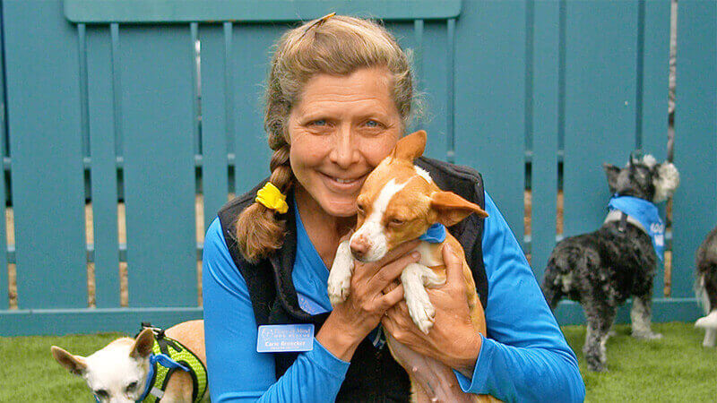 Carie Broecker
