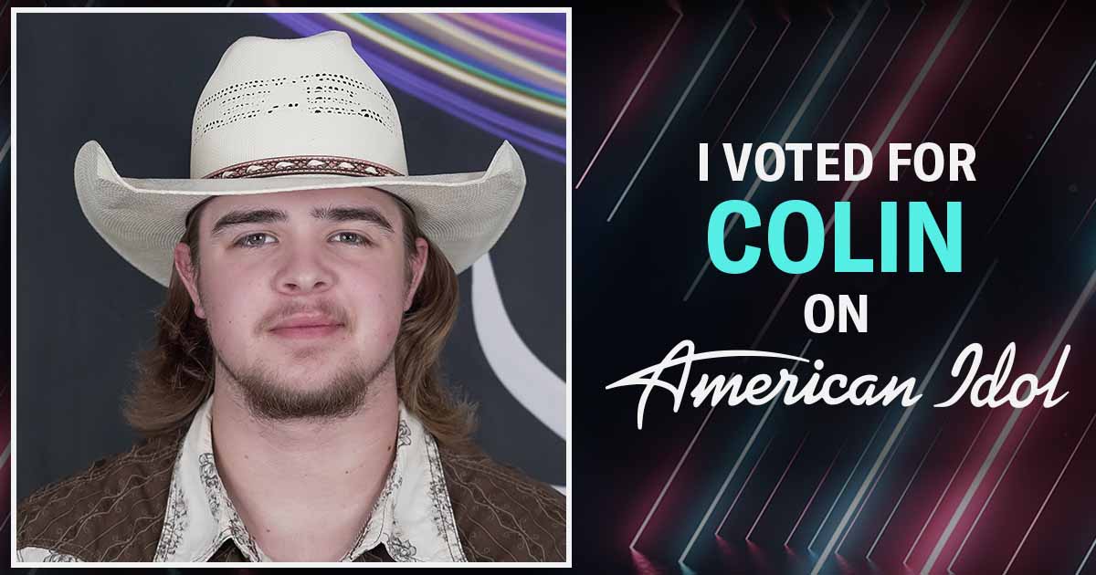 American Idol I Voted!